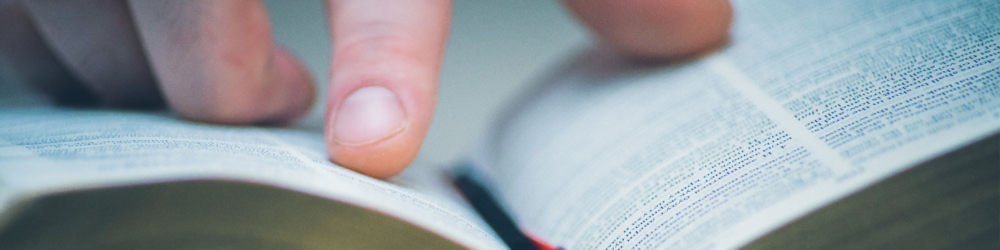 Reading a Bible Reading a Bible
